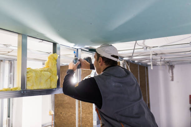Best Commercial Insulation in Howland Center, OH