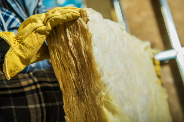 Best Eco-Friendly Insulation in Howland Center, OH
