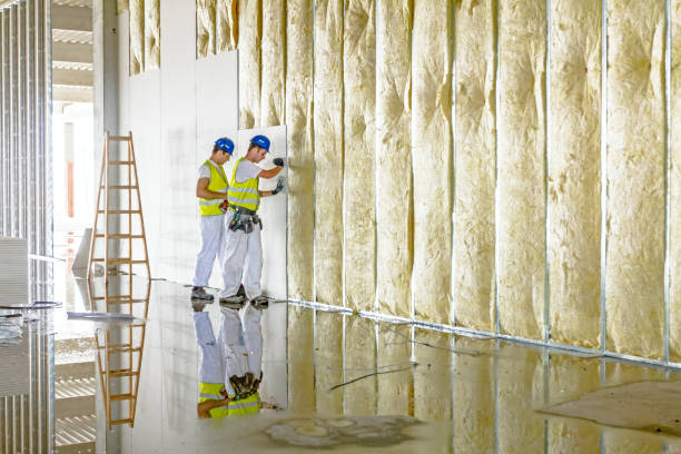Best Geographic-Specific Insulation Services in Howland Center, OH